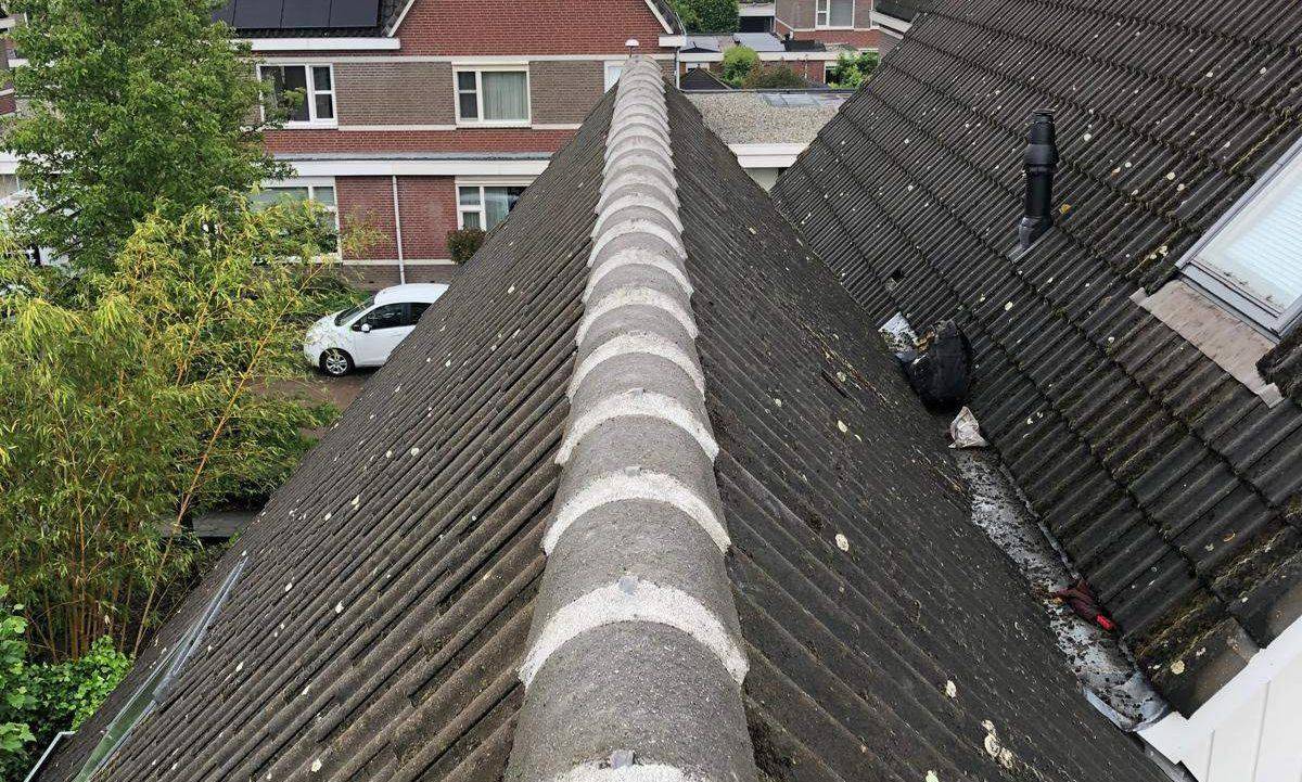 Nokvorsten Leeuwarden